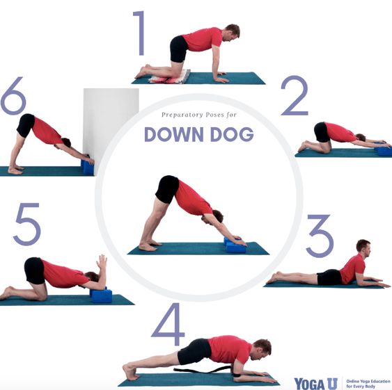 Downward Facing Dog - Adho Mukha Svanasana yoga pose 