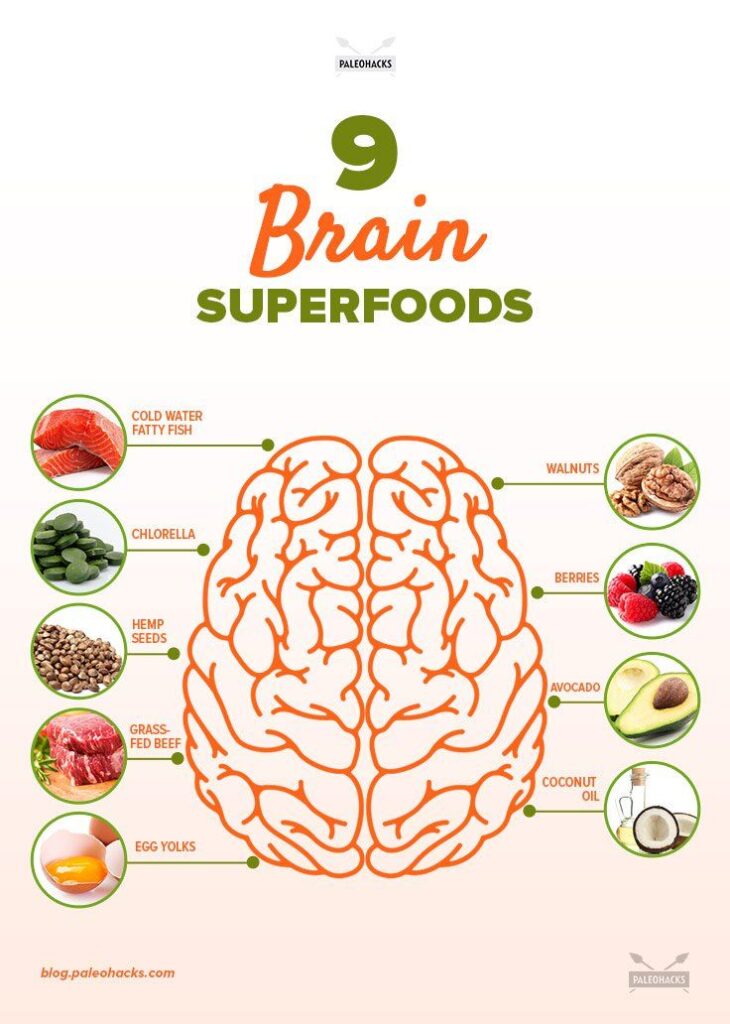 healthy brain diet