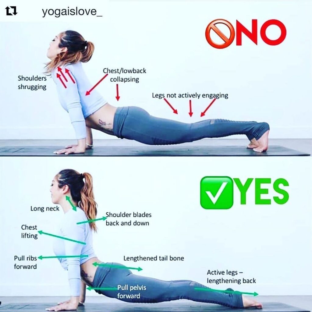 how to upward facing dog yoga pose