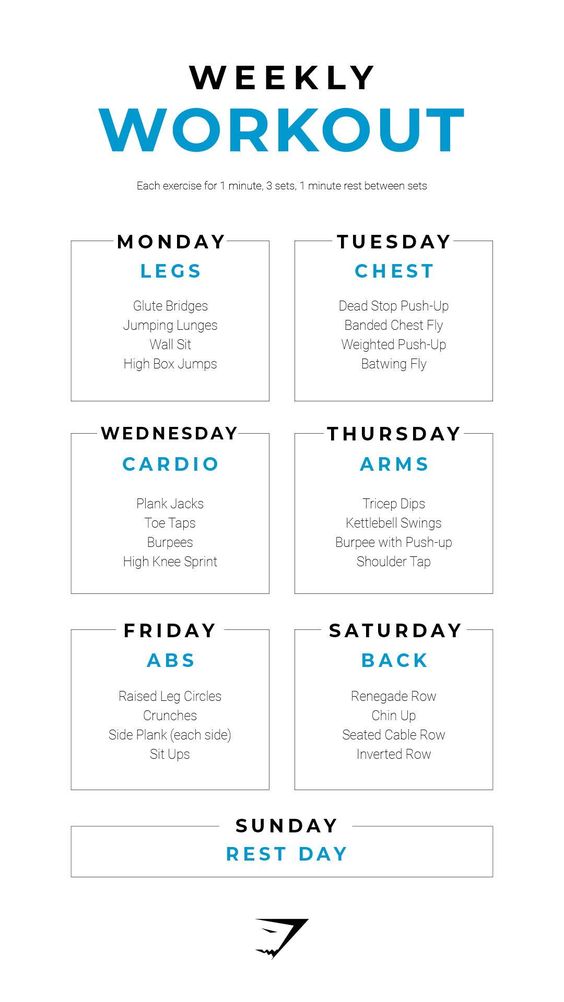 weekly workout gym routine
