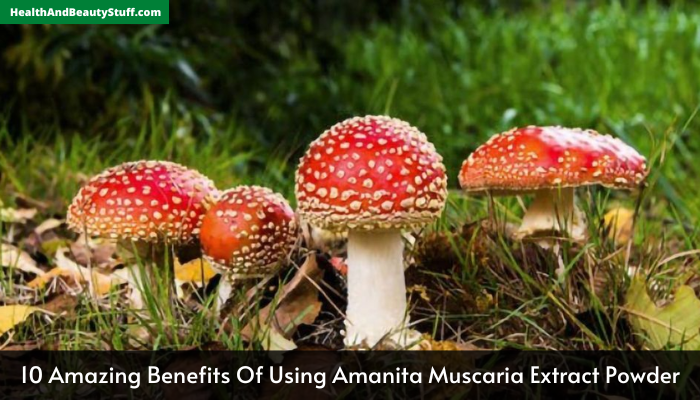 10 Amazing Benefits Of Using Amanita Muscaria Extract Powder