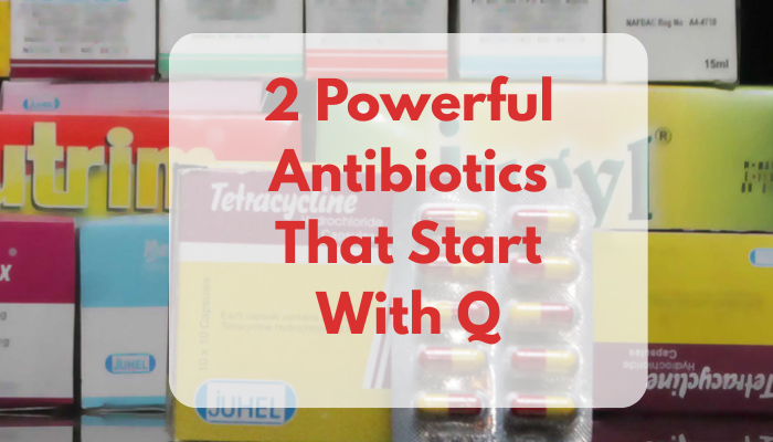 2 Powerful Antibiotics That Start With Q