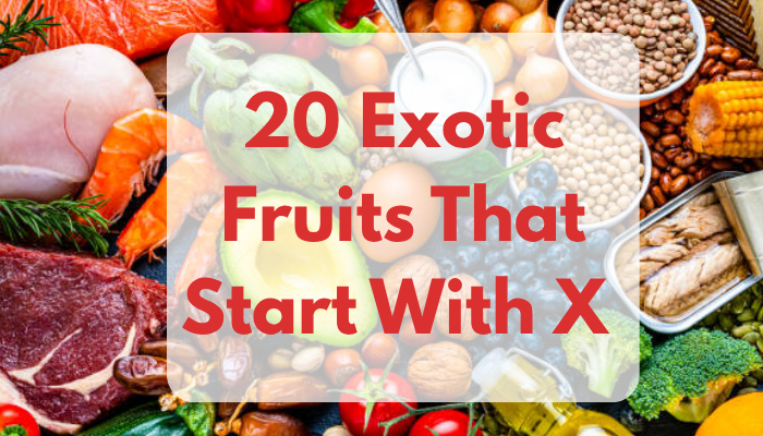 20 Exotic Fruits That Start With X