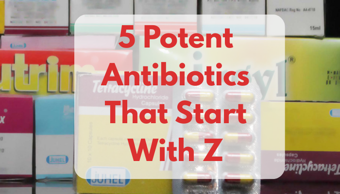 5 Potent Antibiotics That Start With Z
