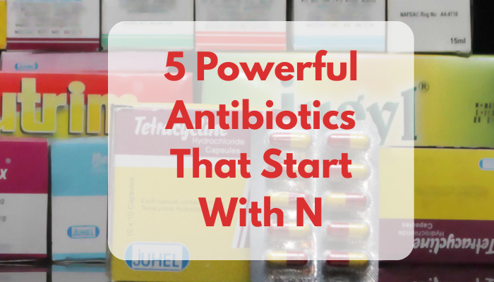 5 Powerful Antibiotics That Start With N