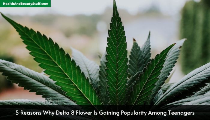 5 Reasons Why Delta 8 Flower Is Gaining Popularity Among Teenagers