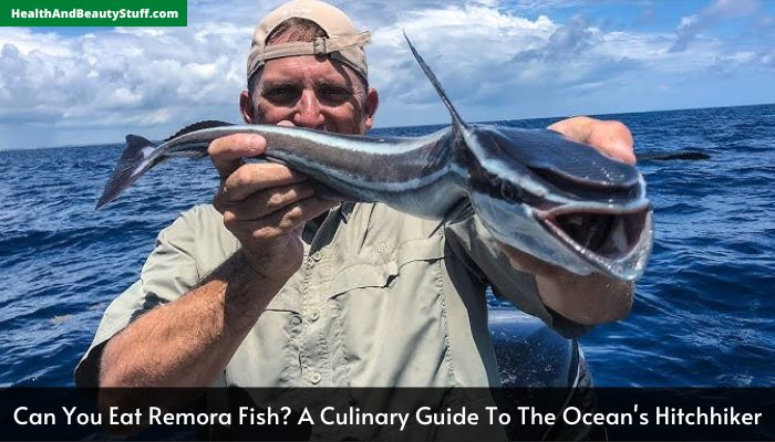 Can You Eat Remora Fish A Culinary Guide To The Ocean's Hitchhiker