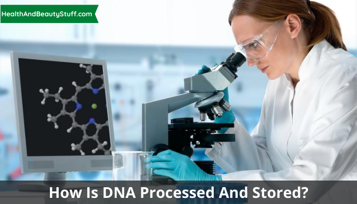 How is DNA Processed and Stored