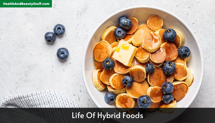 Life Of Hybrid Foods