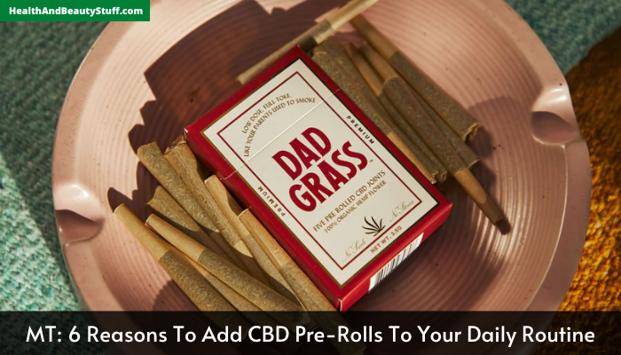 MT 6 Reasons To Add CBD Pre-Rolls To Your Daily Routine