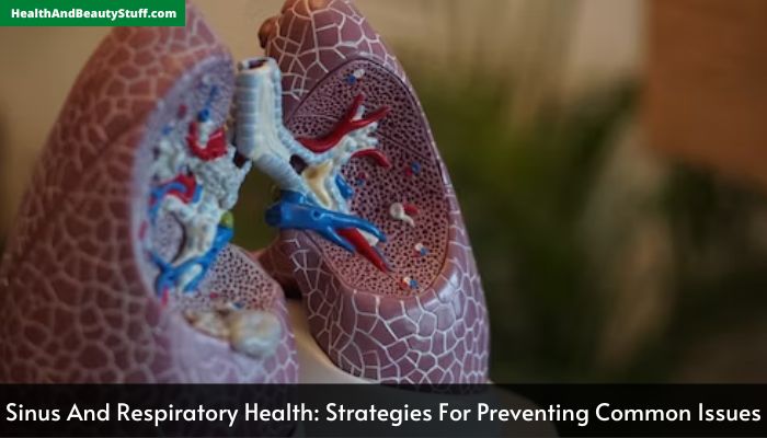 Sinus And Respiratory Health Strategies For Preventing Common Issues