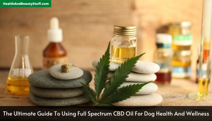 The Ultimate Guide To Using Full Spectrum CBD Oil For Dog Health And Wellness