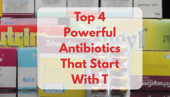 Top 4 Powerful Antibiotics That Start With T