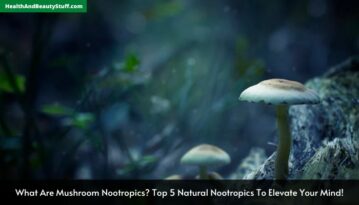 What Are Mushroom Nootropics Top 5 Natural Nootropics To Elevate Your Mind!