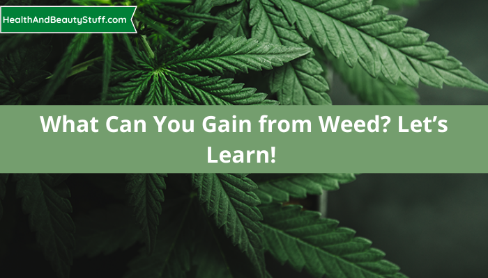 What Can You Gain from Weed? Let’s Learn!