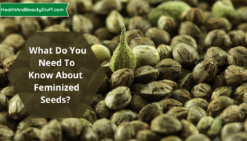 What Do You Need To Know About Feminized Seeds
