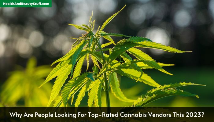 Why Are People Looking For Top-Rated Cannabis Vendors This 2023