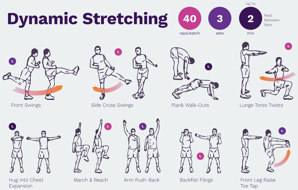 dynamic stretching exercise infographic