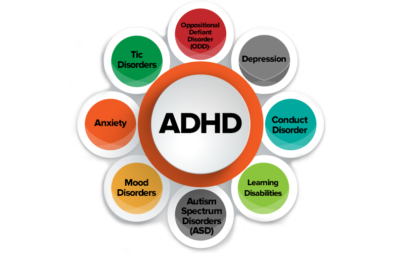 The ADHD Spectrum: More Than Just Hyperactivity
