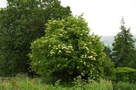 image 1232 image 1232