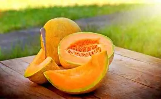 image 1654 Can You Freeze Cantaloupe? Easy Tips to Save Summer Fruit