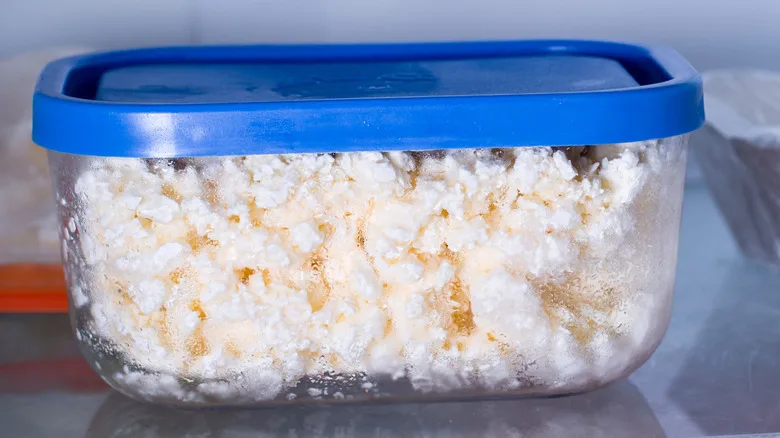 Can You Freeze Cottage Cheese? Smart Storage Tips