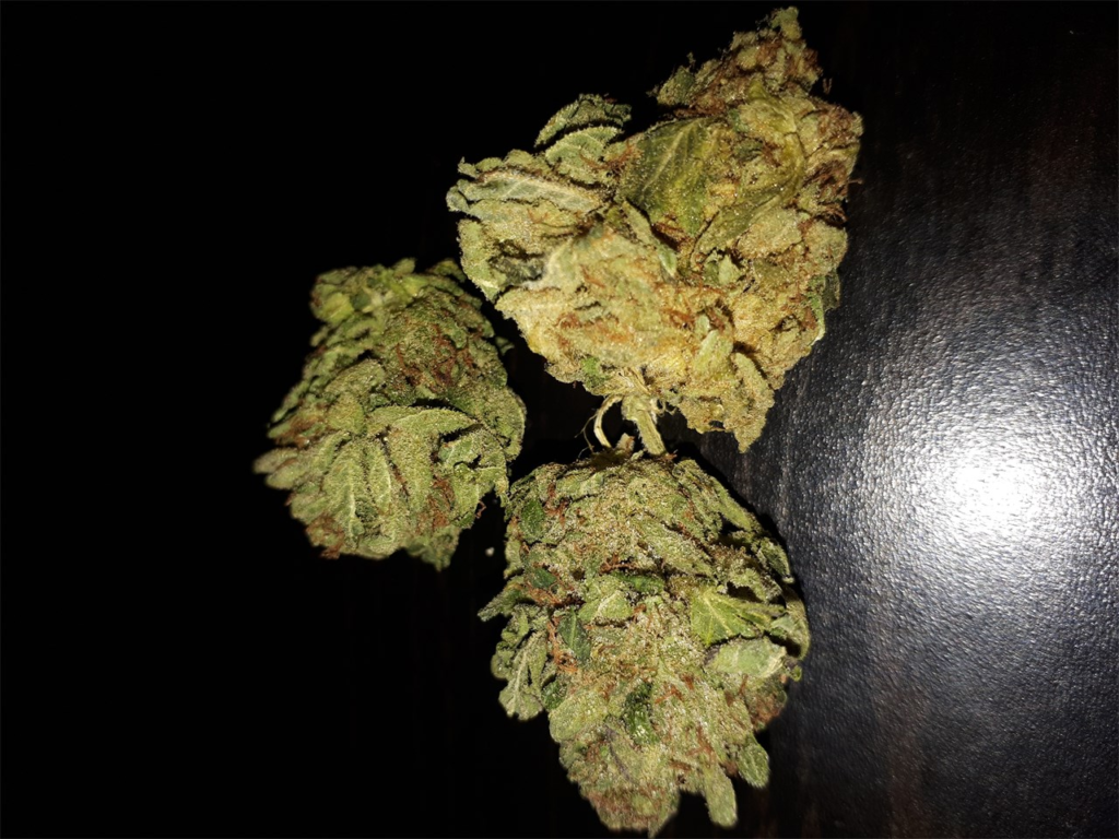 OG Kush Strain 