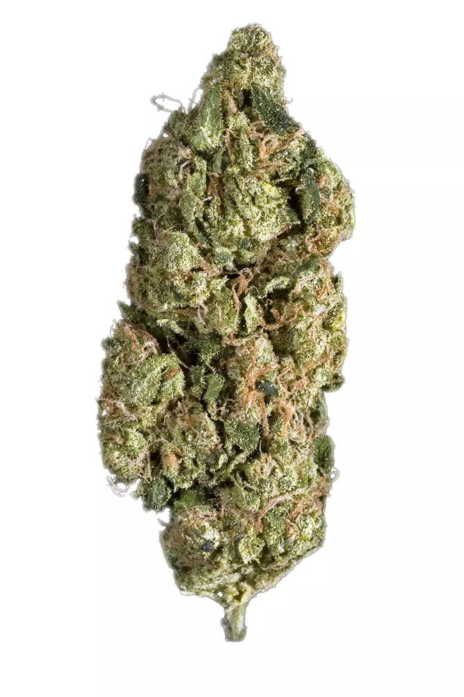 Sour Diesel Strain