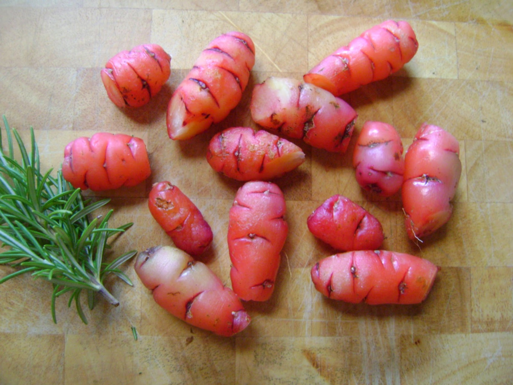 image 610