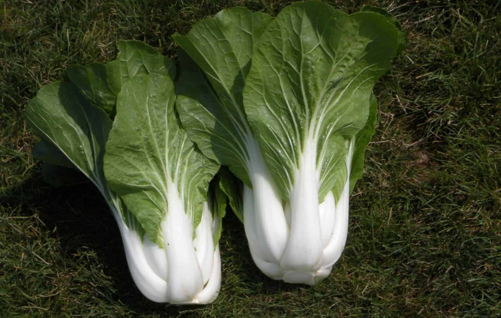 image 645