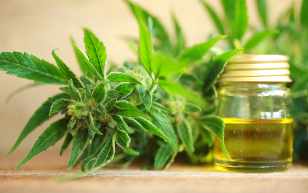 CBD for Pain Relief and Management