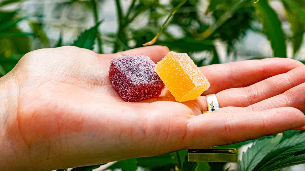 Hemp Gummies vs CBD Gummies