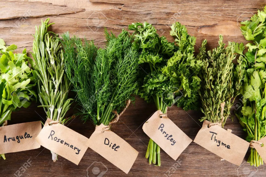 Kinds of Herbal Antioxidants