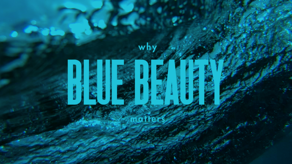 The significance of Blue Beauty