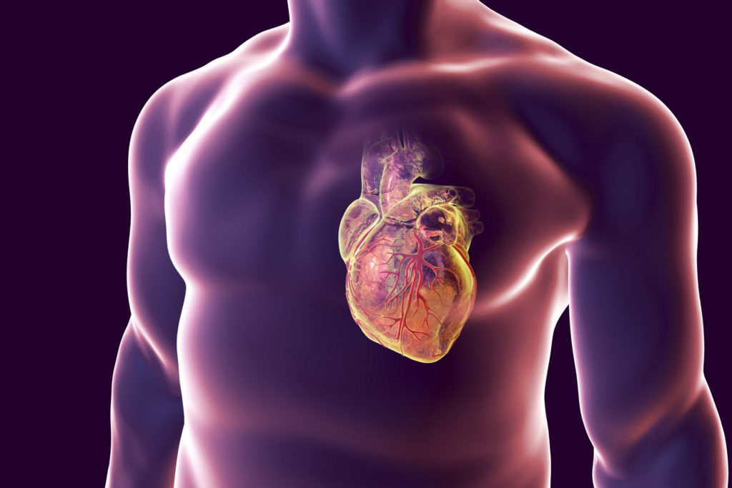 Cardiovascular Health In Men