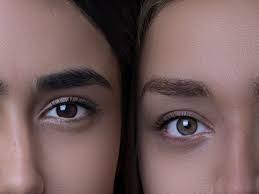 images 97 1 What Shade of Zosisfod Eyebrow Should I Use? Find Out