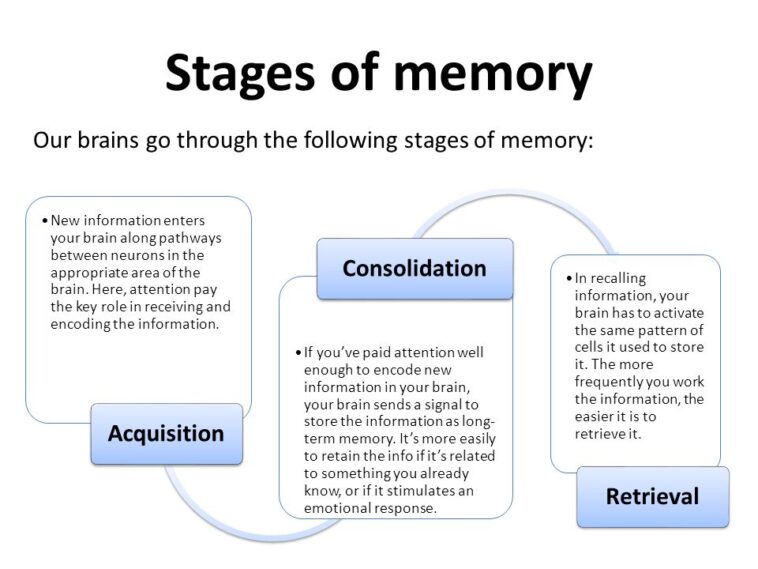 3 main steps creating memories