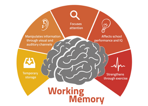 working memory 101